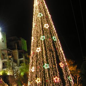 Árbol de Navidad Iluminado