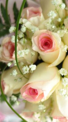 Hermoso ramo de rosas rosas