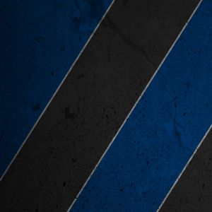 Rayas Diagonales Azules y Negras