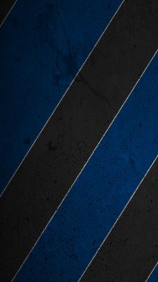 Rayas Diagonales Azules y Negras