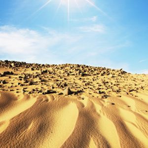 Paisaje desértico con sol