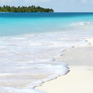 Paraíso de Playa Tropical