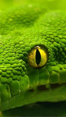 Primer Plano de una Serpiente Verde