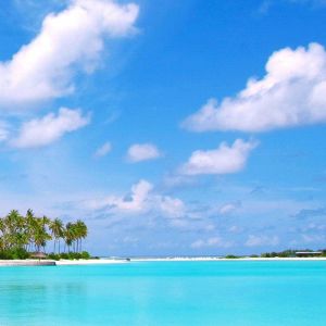 Paraíso de Playa Tropical
