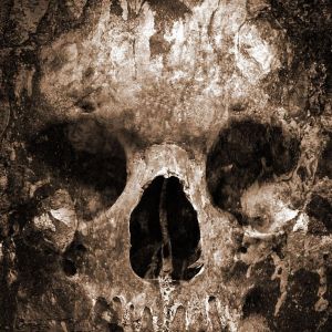 Arte de Calavera