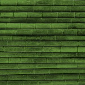 Textura de Bambú Verde