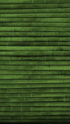Textura de Bambú Verde