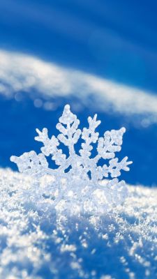 Hermoso Copo de Nieve en la Nieve
