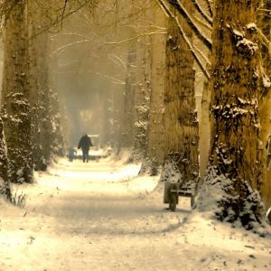 Sendero Invernal