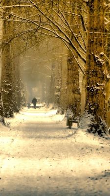 Sendero Invernal