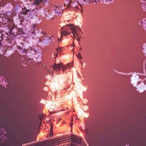 Torre de Tokio de Noche