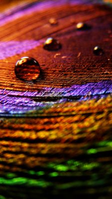 Patrones Abstractos Coloridos