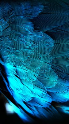 Diseño Abstracto de Pluma Azul