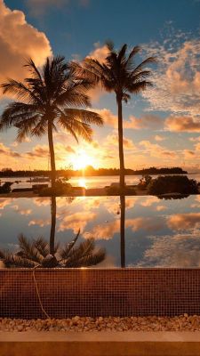 Reflejo del Atardecer Tropical