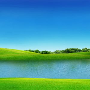 Paisaje Verde Sereno