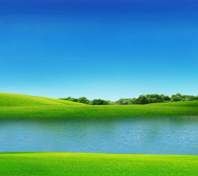 Paisaje Verde Sereno