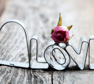 Amor y Rosa