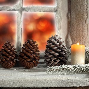 Piñas de Navidad y Vela