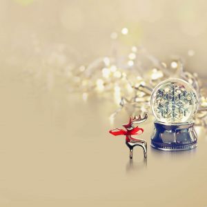 Bola de Nieve de Navidad y Reno