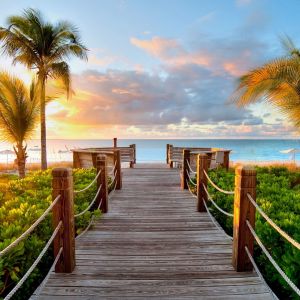 Camino Tropical al Atardecer