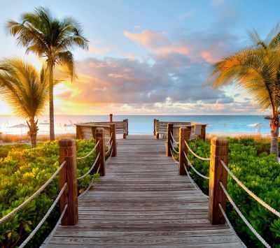Camino Tropical al Atardecer