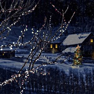 Escena Navideña de Invierno