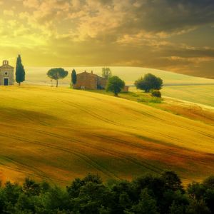 Paisaje Toscano Dorado