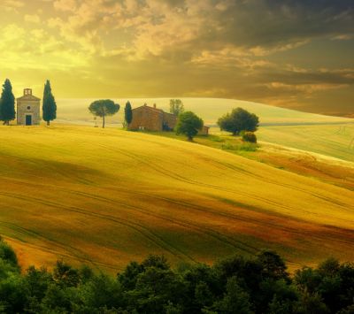 Paisaje Toscano Dorado