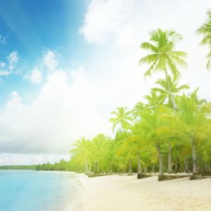 Paraíso de Playa Tropical