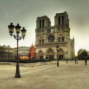 Catedral de Notre Dame en Navidad
