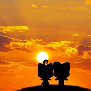 Silhouette de Pareja Linda al Atardecer