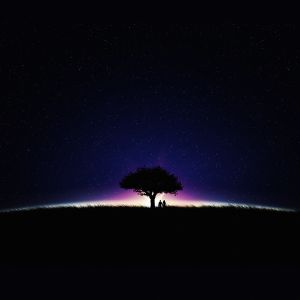 Silhouette Bajo el Cielo Estrellado