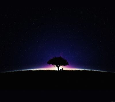 Silhouette Bajo el Cielo Estrellado