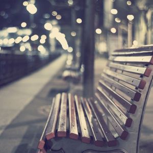 Banco Nocturno en el Parque