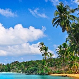 Paraíso Tropical