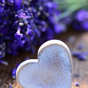 Corazón de Lavanda