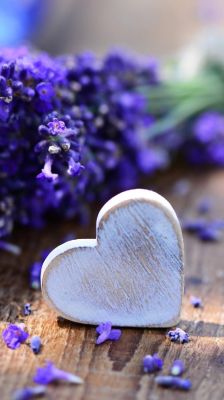 Corazón de Lavanda