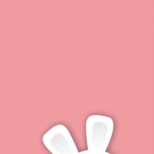 Ilustración de Conejo Lindos