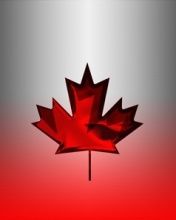 Hoja de Arce Canadiense