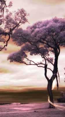 Paisaje Rosa Sereno
