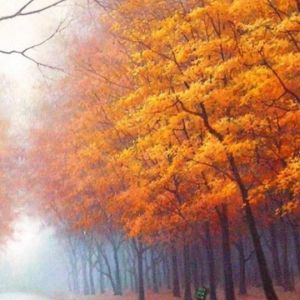 Paisaje Forestal de Otoño