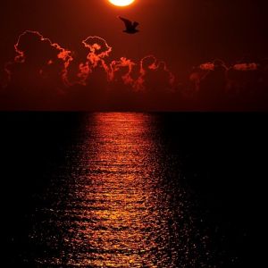 Impresionante Atardecer sobre el Océano