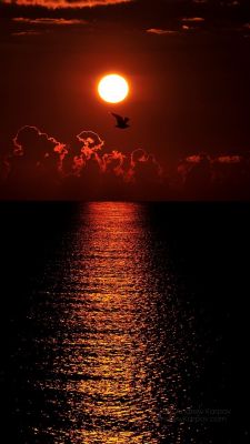 Impresionante Atardecer sobre el Océano