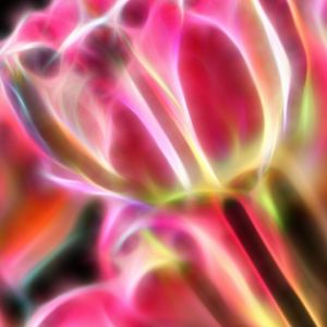 Arte Floral Abstracto Vibrante