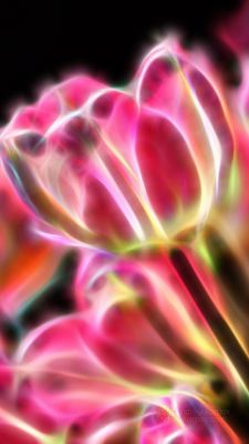 Arte Floral Abstracto Vibrante - wallpaper preview