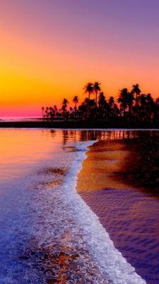 Atardecer Tropical sobre el Océano