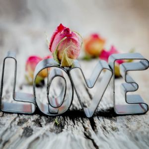 Amor y Rosas