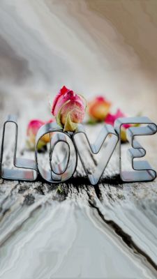 Amor y Rosas