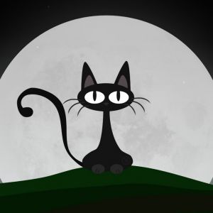 Silueta de Gato Negro