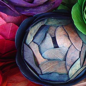 Patrones de Hojas Coloridas